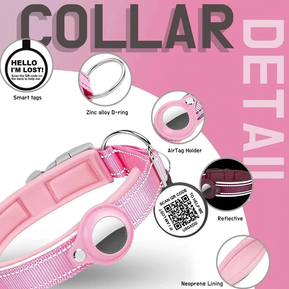 2-in-1 Dog Collar and Airtag Holder