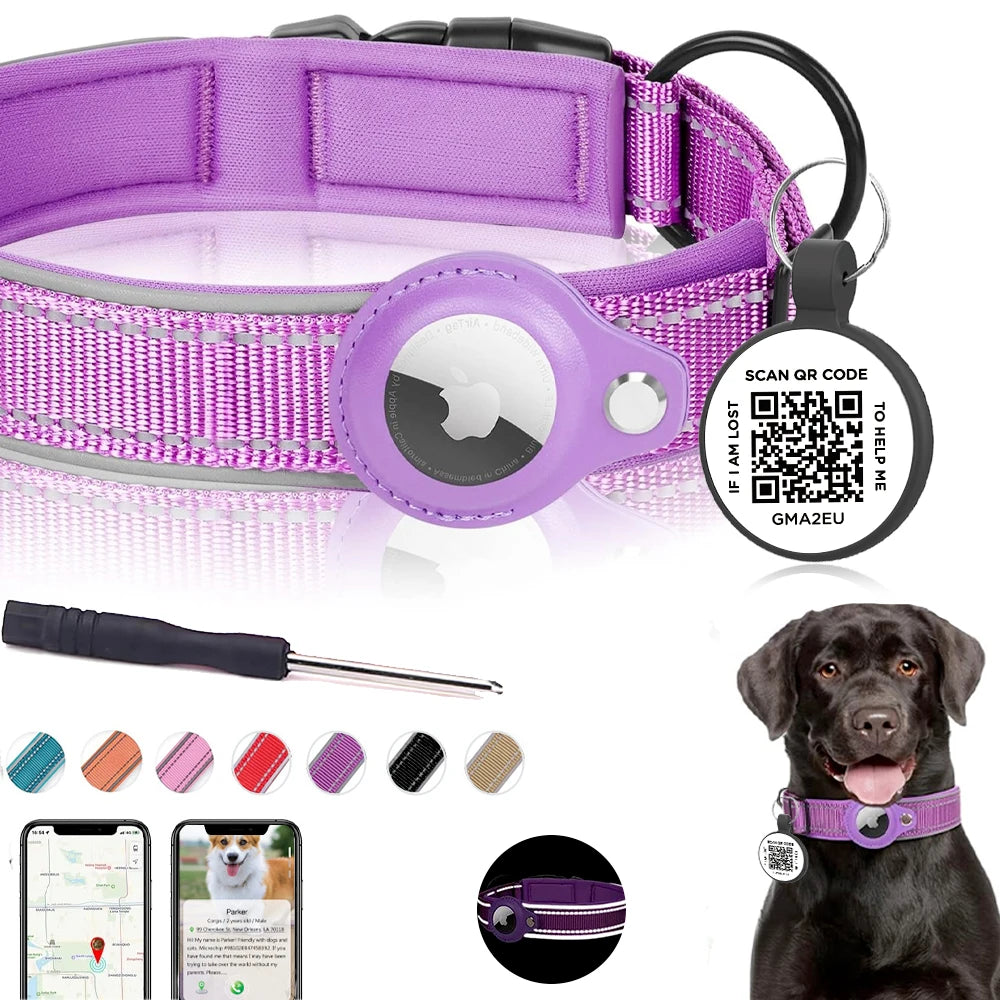 2-in-1 Dog Collar and Airtag Holder